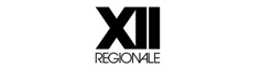regionale12_Icon